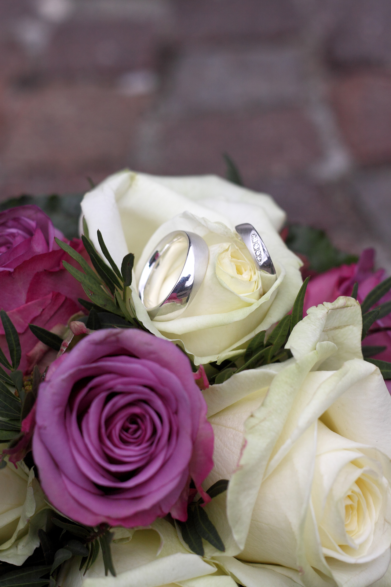 IMG_7489Fischer wedding